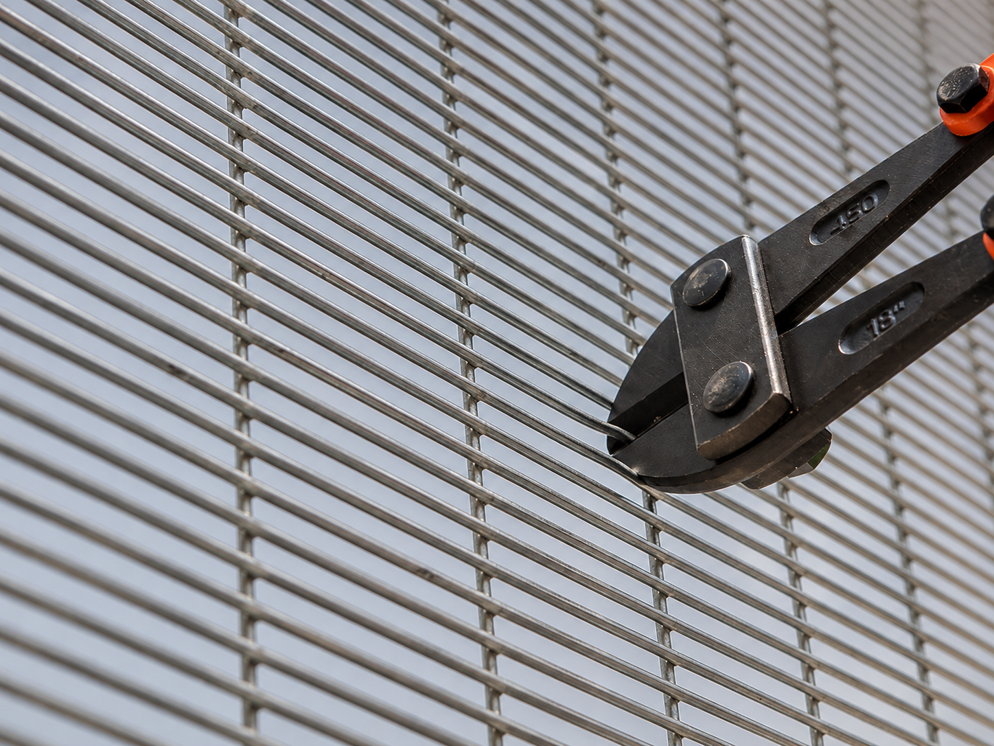 3D Curve Mesh